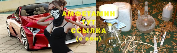 амф Михайловск