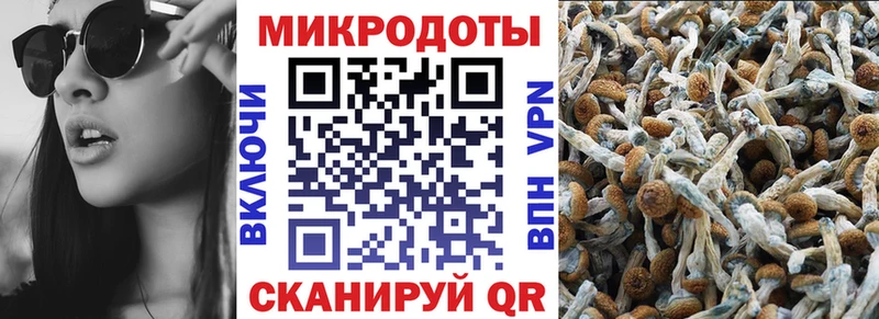 гидра зеркало  Юхнов  Псилоцибиновые грибы прущие грибы 